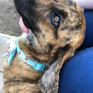 Meet your Posher, Ellen